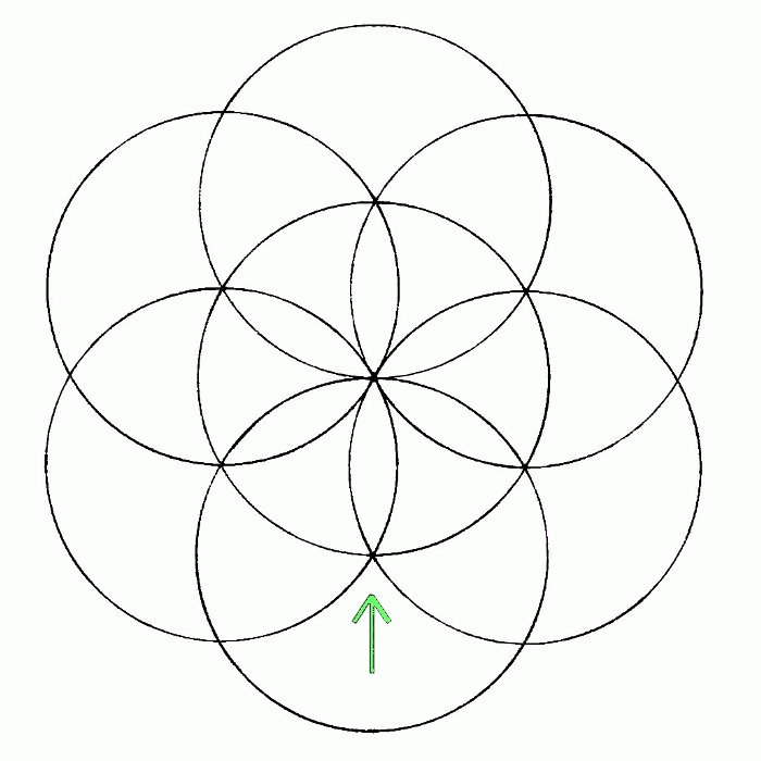 Flower of Life: How to draw it… | Chemical Marriage