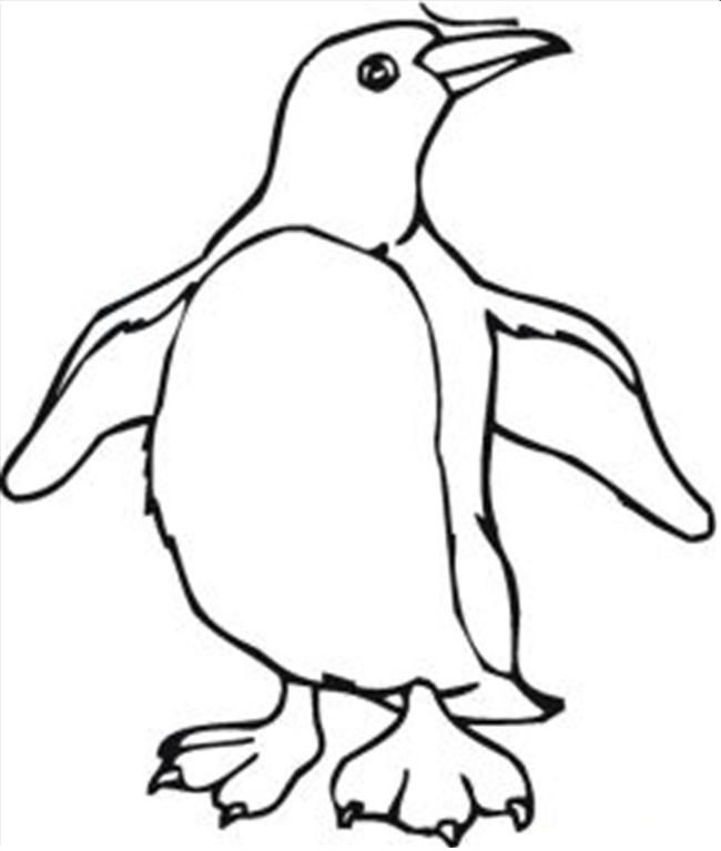 Cartoon Penguin Coloring Pages - Coloring Home