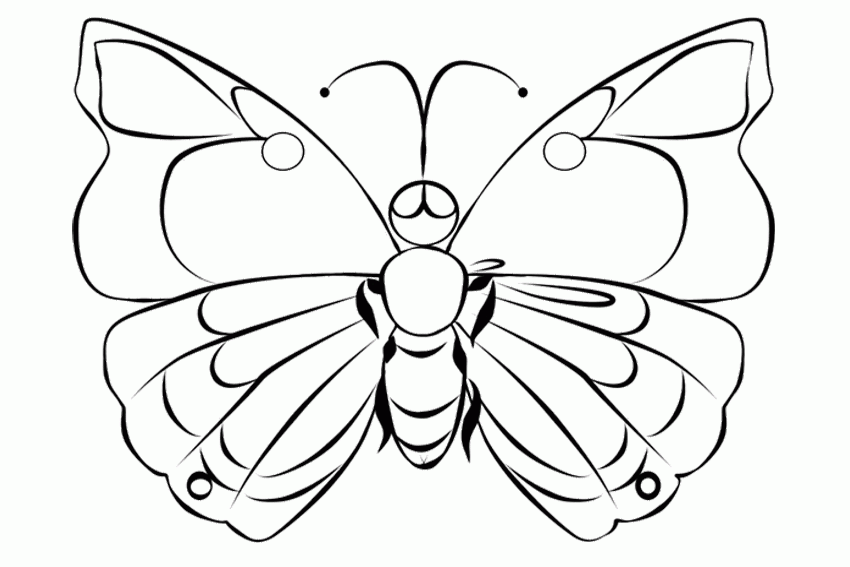 List of beautiful caterpillar and butterfly coloring pages | Only 