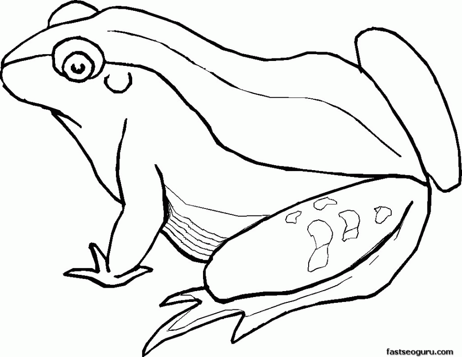 Jungle Animals Coloring Pages For Kids Printable Coloring Sheet 