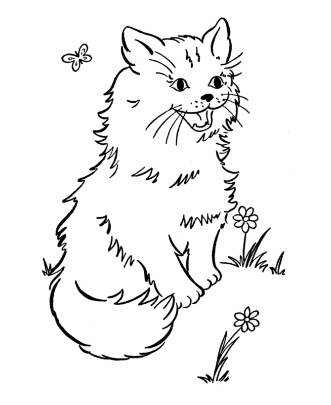 colorwithfun.com - Cat Coloring Page For Children