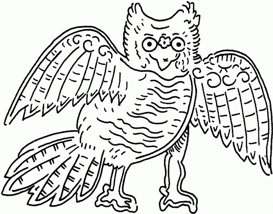 Burrowing Owl Coloring Pages Trend Hagio Graphic 19059 Abby 
