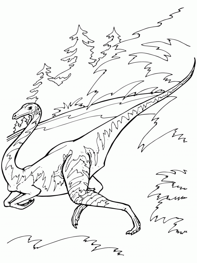 4897 Pictures Dinosaurus Ornithomimus Animal Coloring Page 294917 