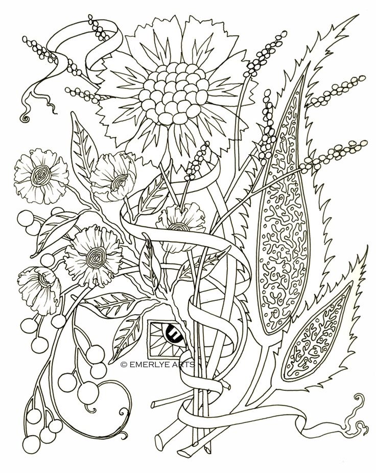 Spring Coloring Sheets Adults / Get This Spring Coloring Pages