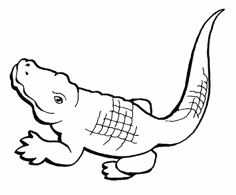 simple Crocodile Coloring Pages for kids | Best Coloring Pages