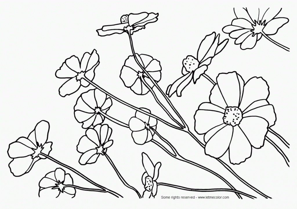 Nature Coloring Pages For Adults - Coloring Home