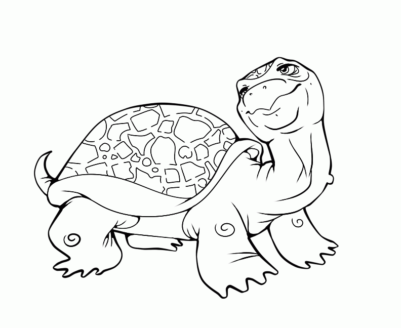 Turtle Picture To Color | Animal Coloring pages | Printable 