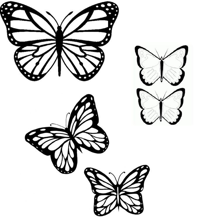 butterfly tattoo outline coloring butterflies outlines tattoos drawing clipart pattern drawings designs printable patterns drawn draw doodle diana hand library