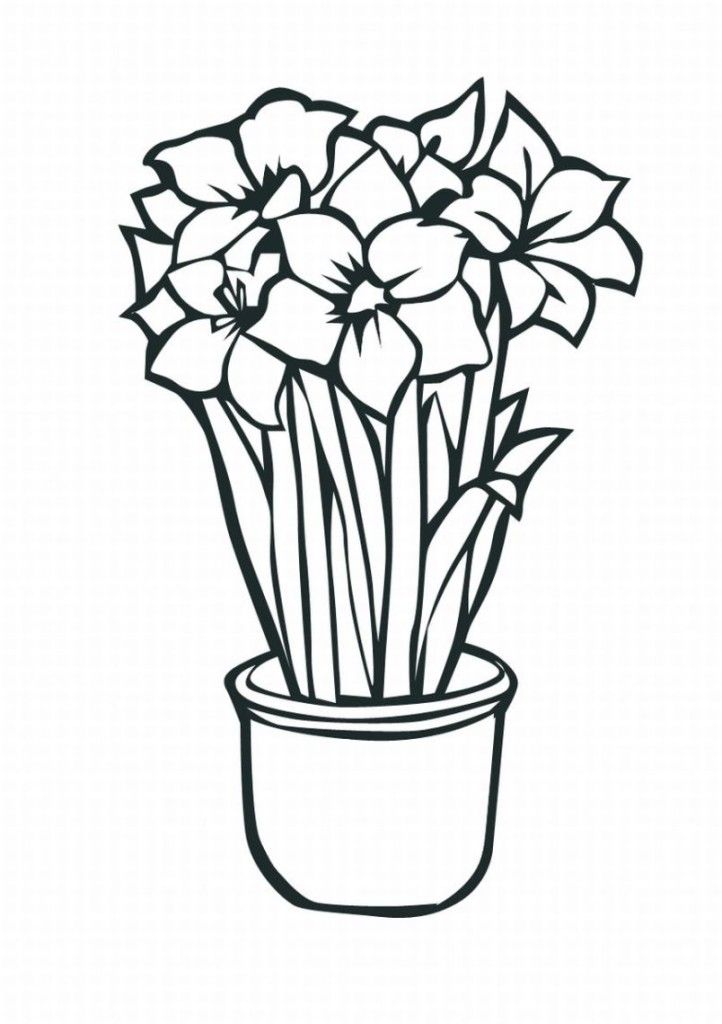 Tropical Flowers Coloring Pages Coloring Home