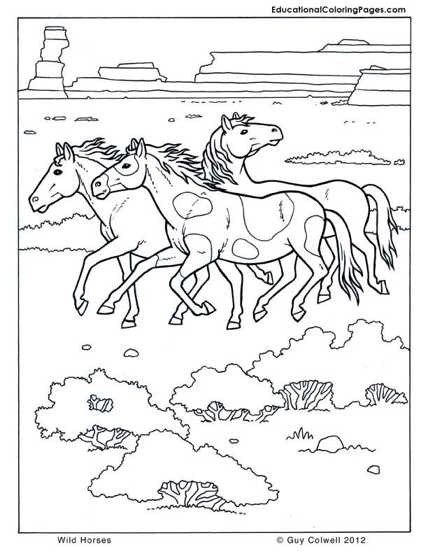 animal pictures coloring pages | Animal Coloring Pages for Kids