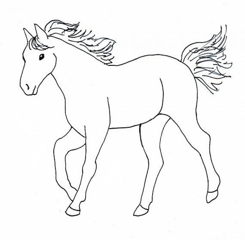 Horse Pictures That You Can Print - Coloring Home