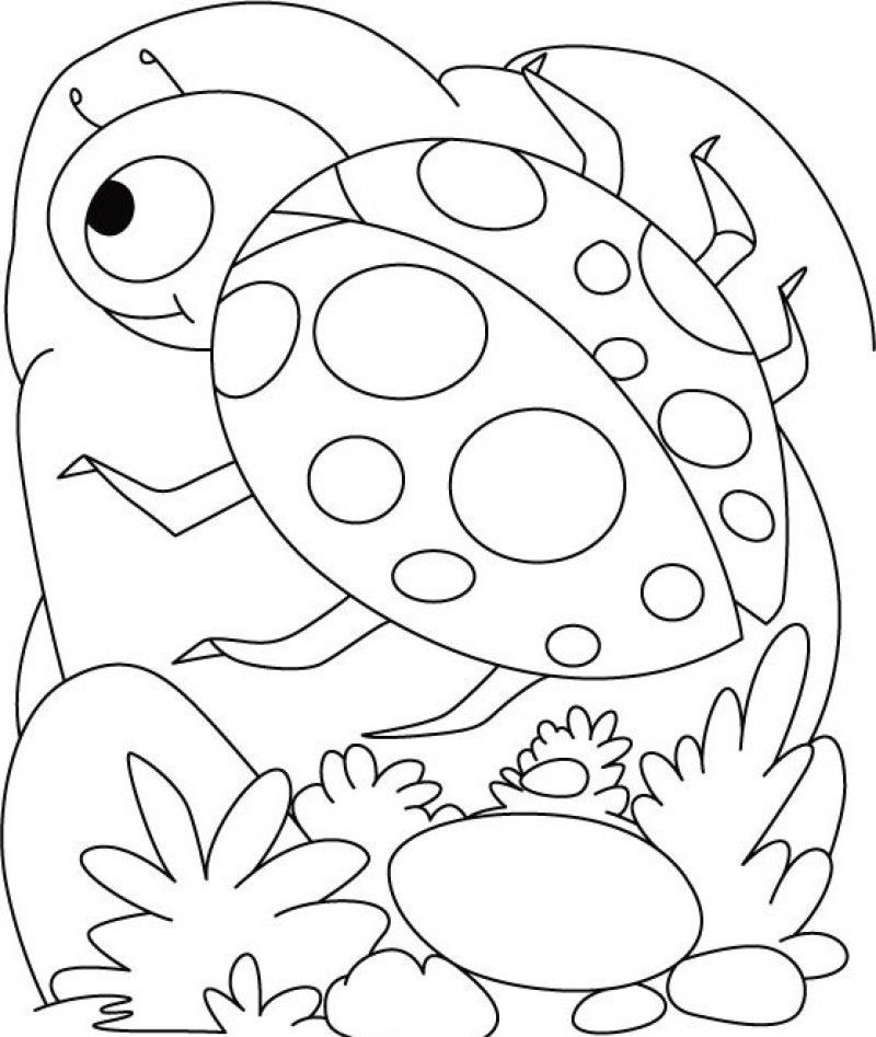 Printable Ladybug Coloring Pages Coloring Home