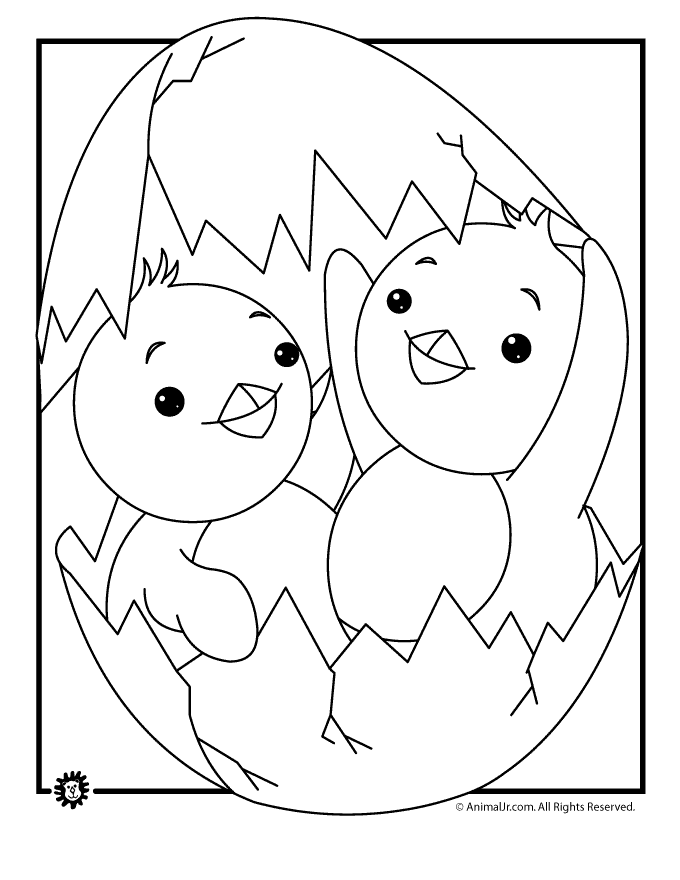 Baby Chick Coloring Page Images & Pictures - Becuo