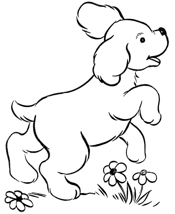 Online Printable My Little Pony Coloring Pages - Animal Coloring 