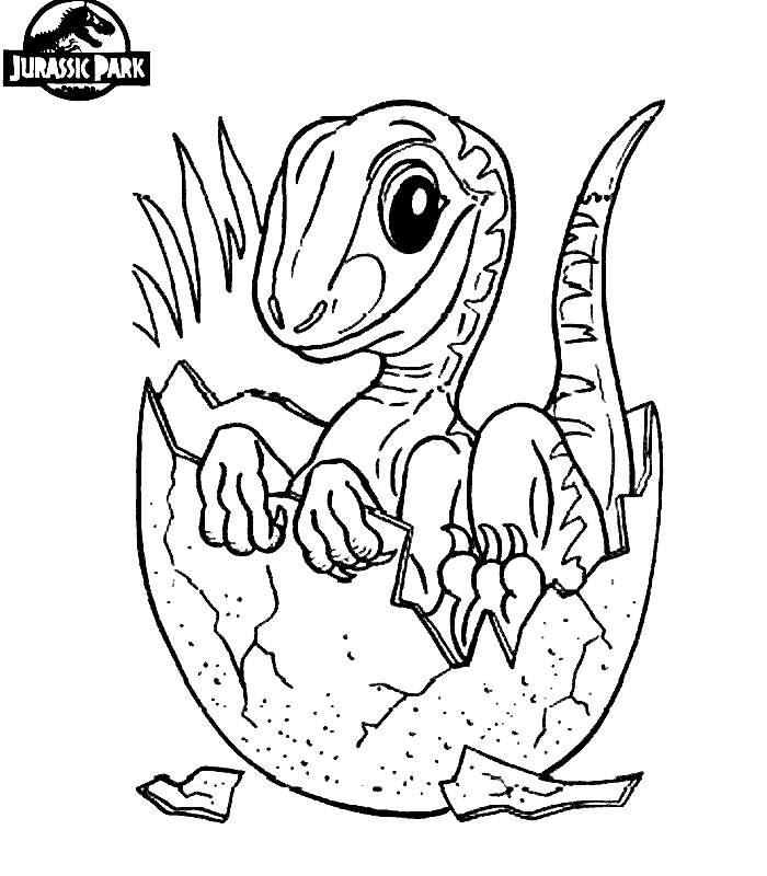 Jurassic park T-rex Colouring Pages