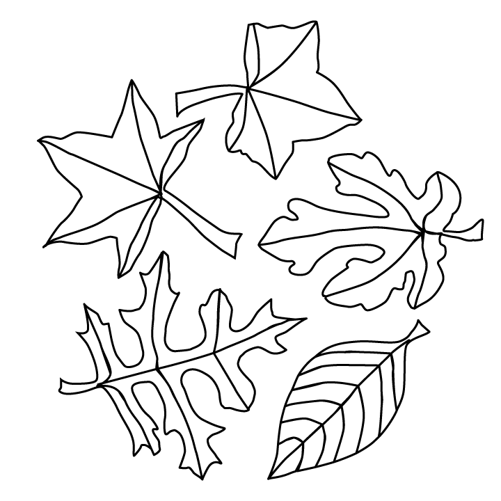 printable-pictures-of-leaves-coloring-home