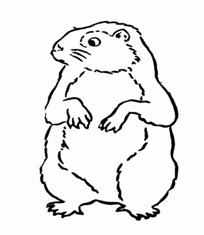 Groundhog Day Coloring Pages : Groundhog Day Scratching Head 
