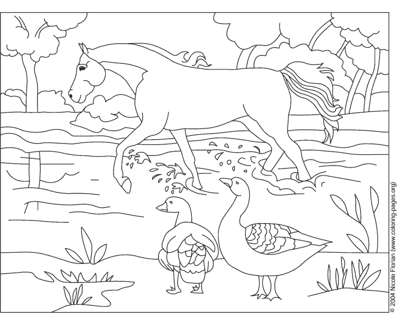 Horse Coloring Page - Horse and ducks