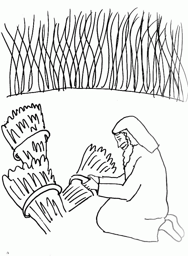 Bible Story Coloring Page for The Parable of the Wheat and the 