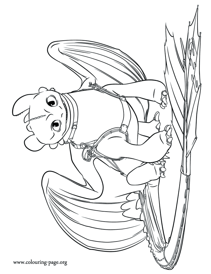 How to Train Your Dragon 2 - Older Toothless coloring page