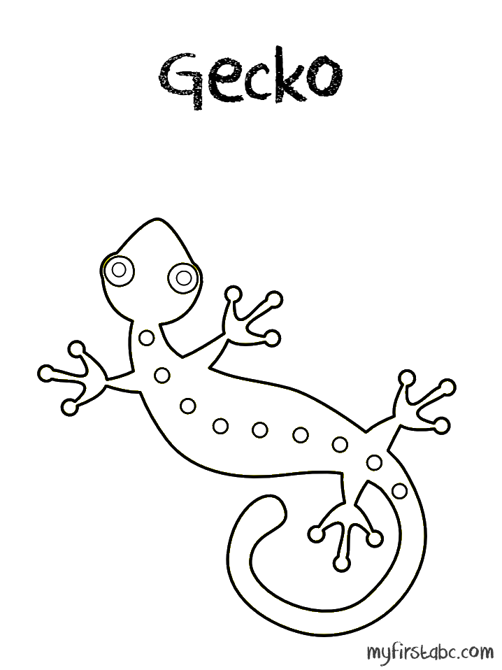 59 Animal Gecko Coloring Pages Printable for Kindergarten