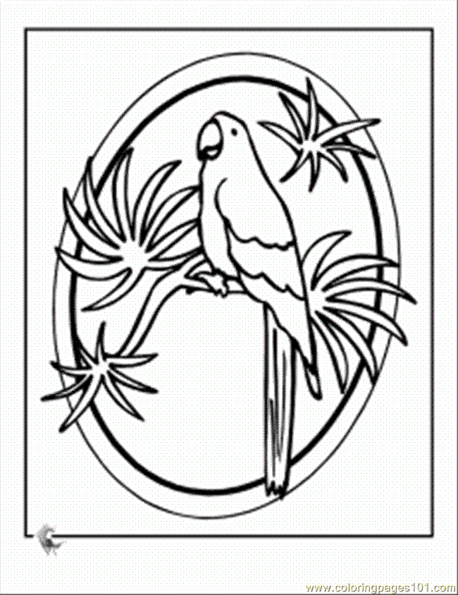 Coloring Pages Parrot Luau Coloring 231x300 (Birds > Parrots 