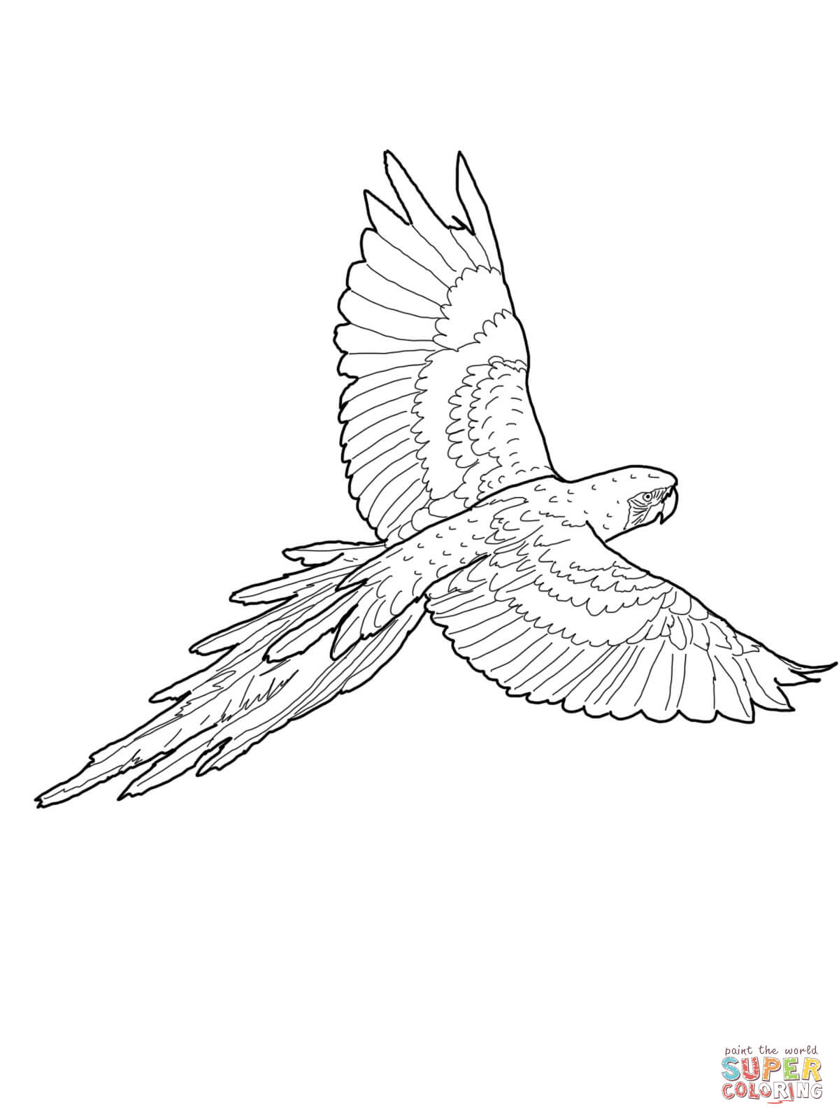 jamaica coloring pages print free - photo #24