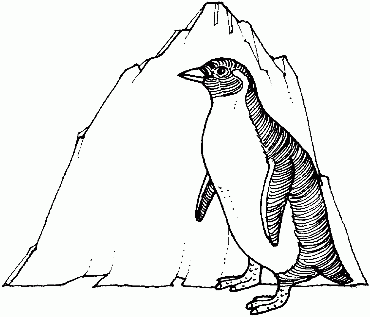 Adelie Penguin Coloring Page Coloring Home