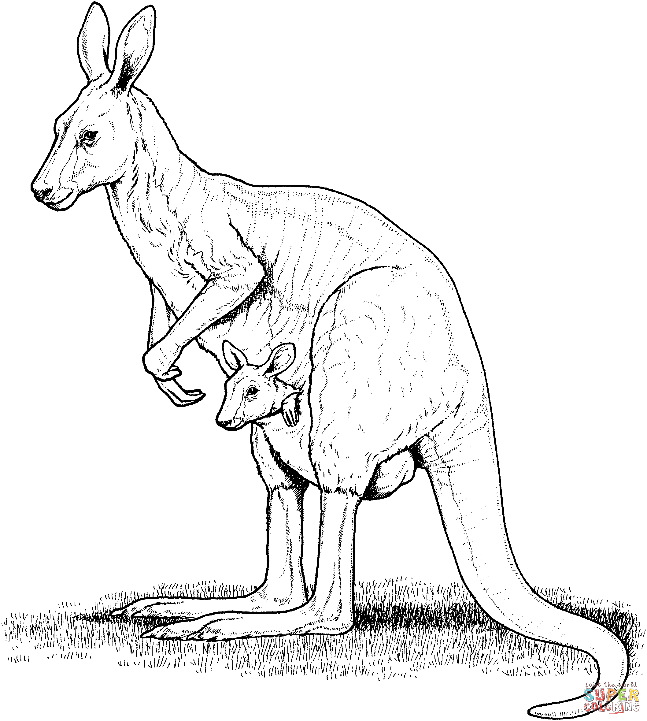 Australia Coloring Page - Coloring Home