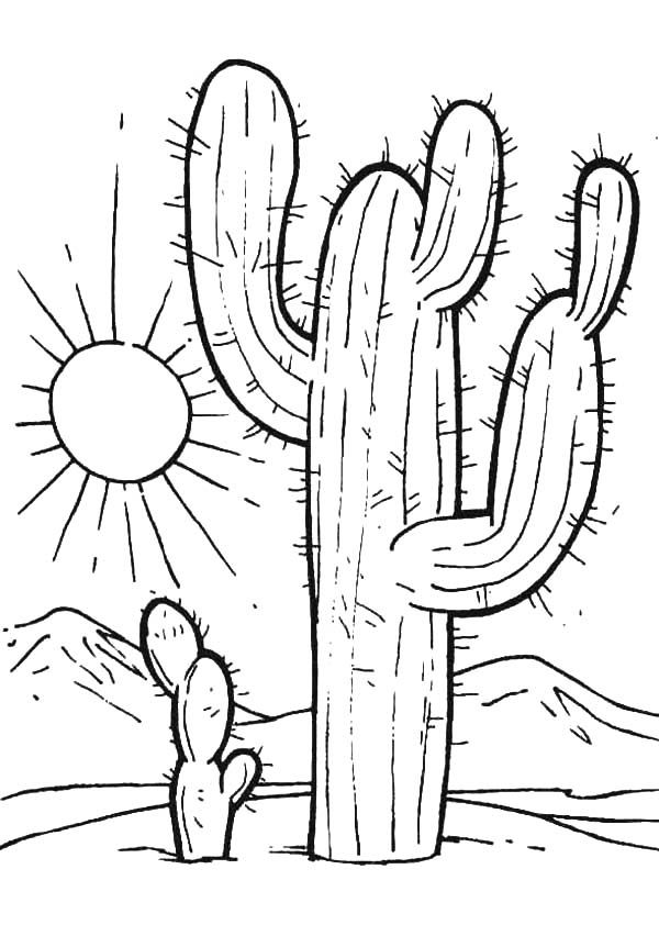 Desert Sunset Coloring Pages: Cactus at Deser | Cactus ...