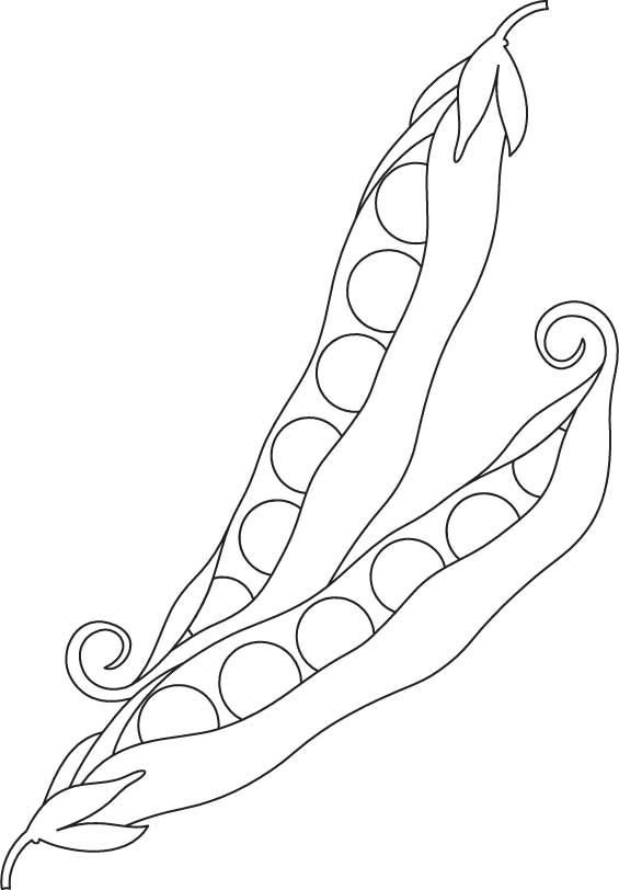 Peas vegetable coloring page | Download Free Peas vegetable coloring page  for kids | Vegetable coloring pages, Fruit coloring pages, Coloring pages