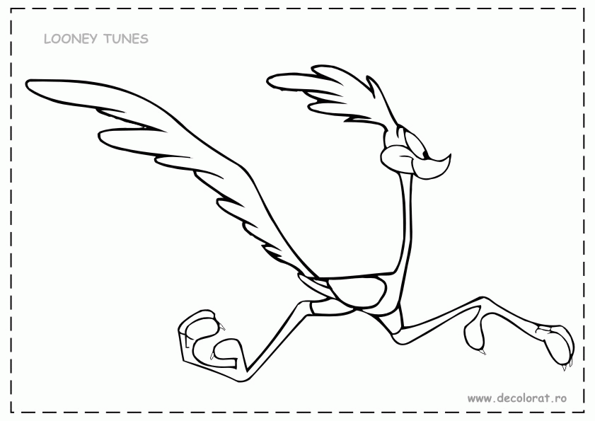 Road Runner Colouring Pictures - High Quality Coloring Pages