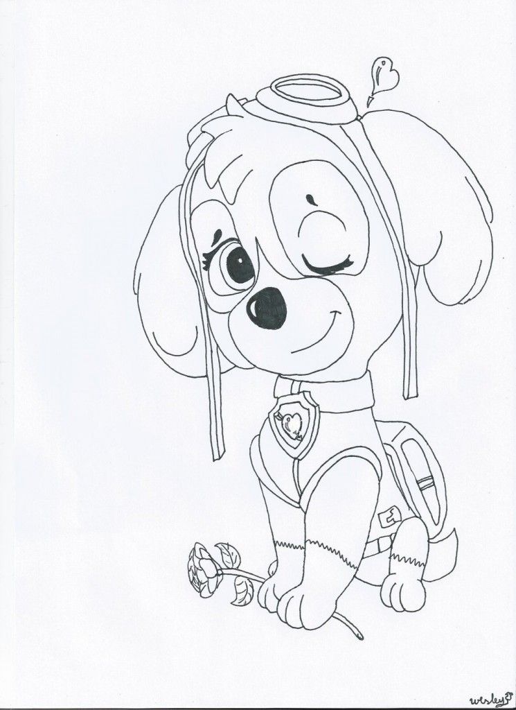 PAW Patrol Coloring Pages Cartoons