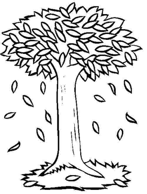 coloring pages of autumn trees there was an old lady who swallowed ...