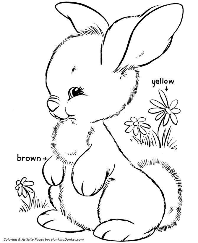 Candy Coloring Pages Print Home Easter Bunny Fluffy