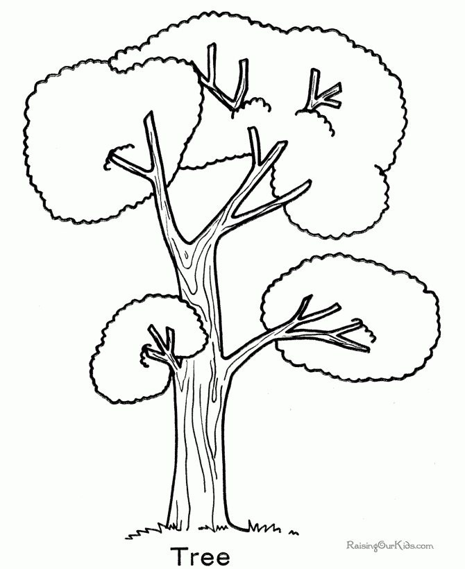 Take Coloring Pages Tree, Download Coloring Pages Of A Tree ...
