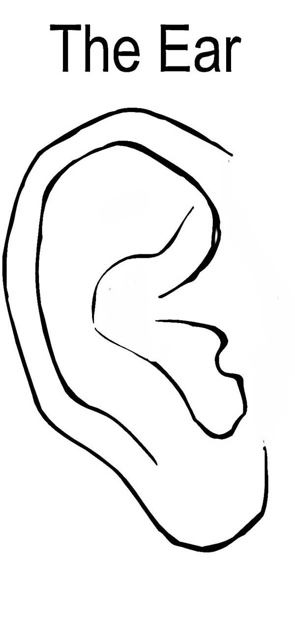 Ears Coloring Pages Coloring Home