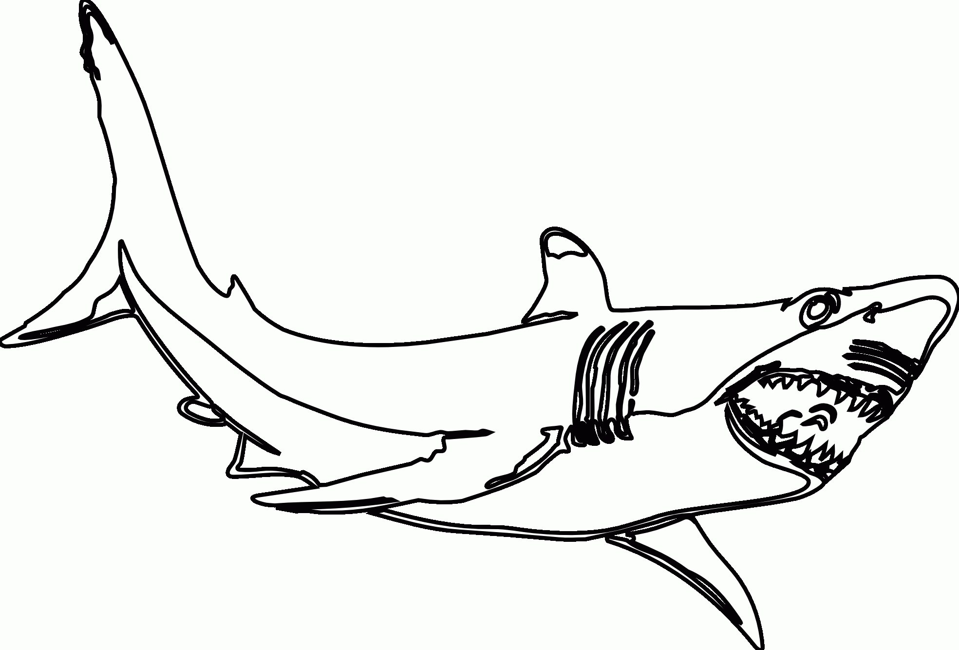 Hammerhead Shark Coloring Pages Free Coloring Home