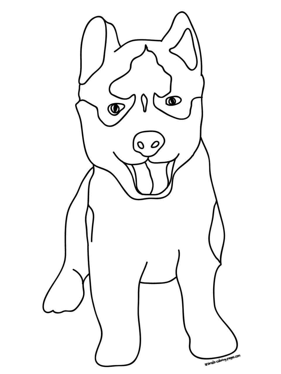 Ba Pitbull Black Nyengirco Husky Dog Coloring Pages - VoteForVerde.com