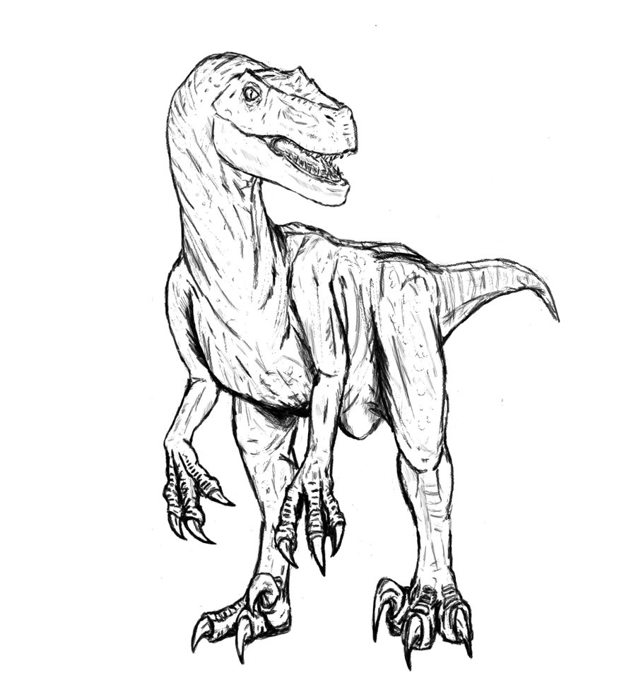 Velociraptor Dinosaurier Malvorlage Dino Kleurplaat Dinosaurios Sexiz Pix