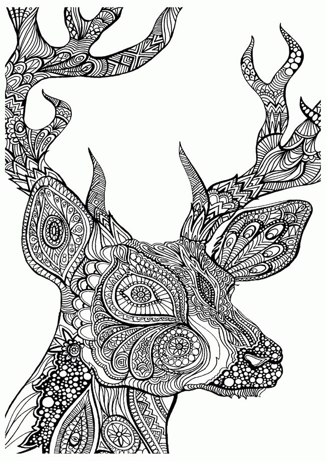 Deer Coloring Pages | Forcoloringpages.com