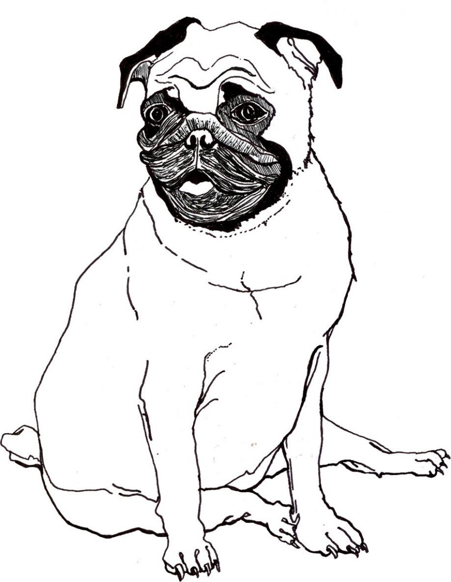 printable-pug-coloring-pages-coloring-home