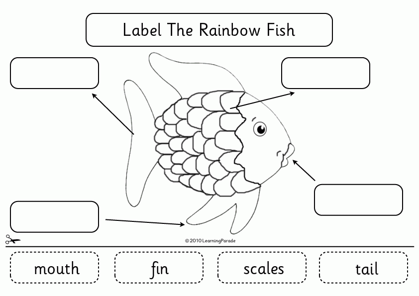 Rainbow fish | Rainbow Fish, The ...