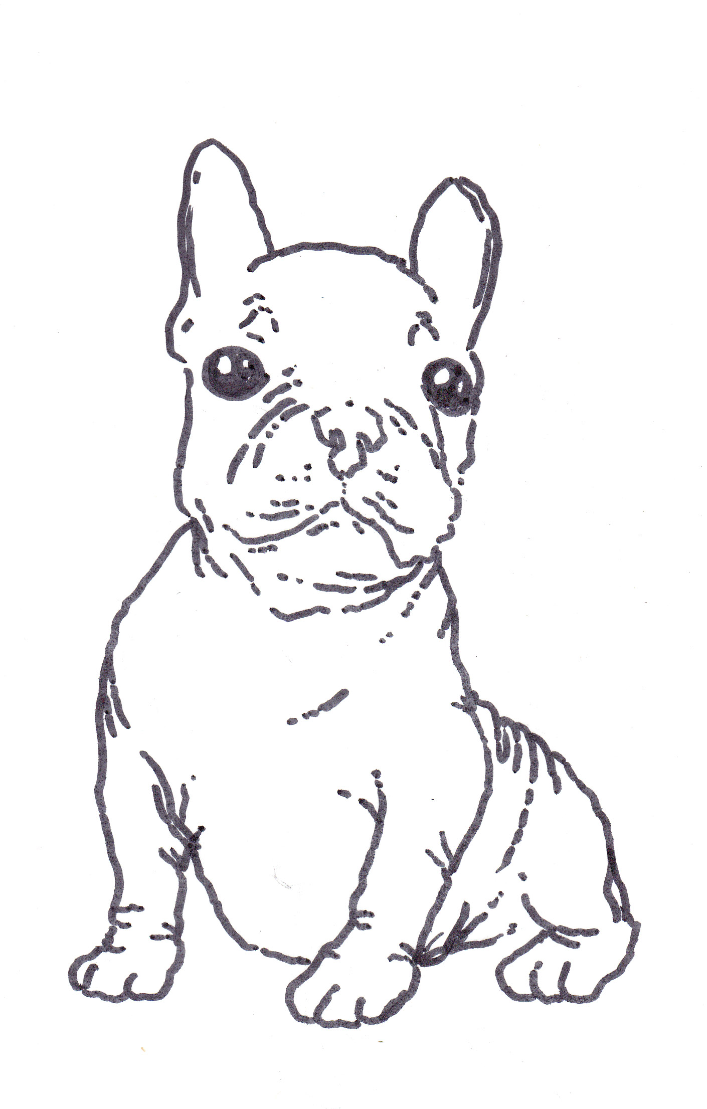 French Bulldog Coloring Pages - Coloring Home