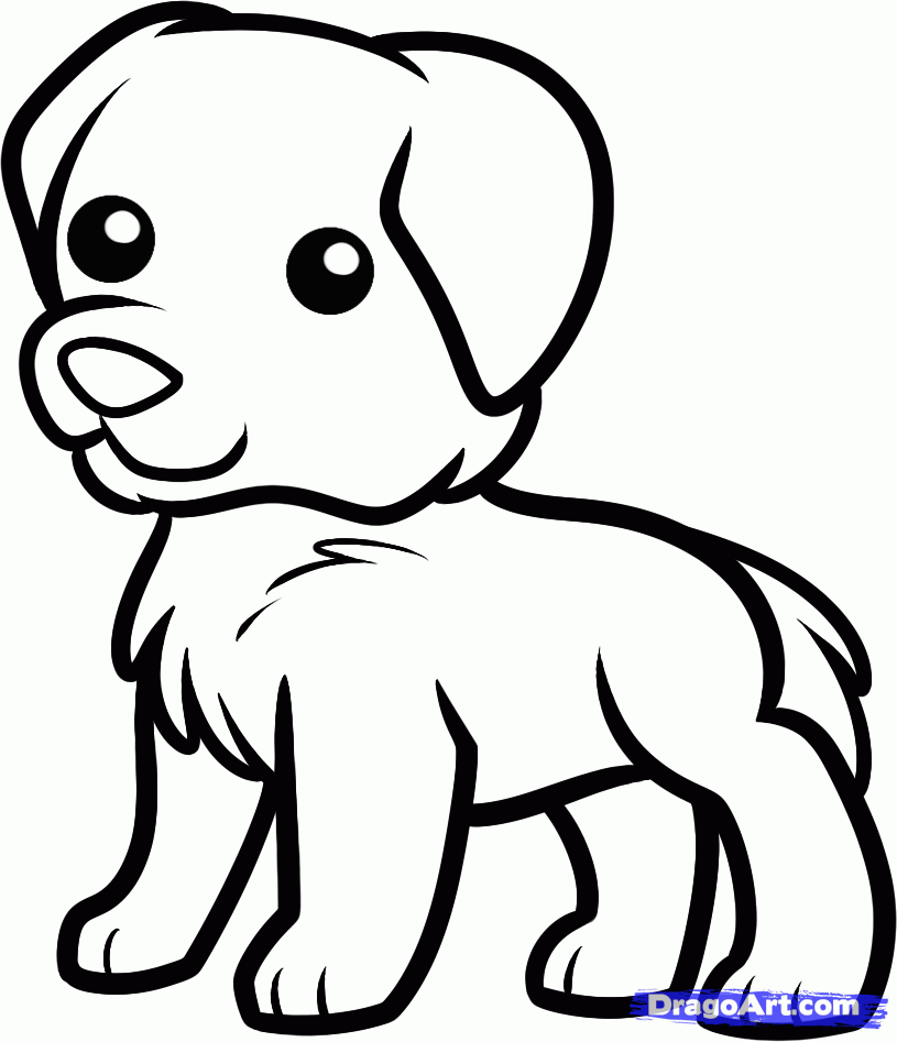 golden-retriever-puppy-coloring-pages-printable-coloring-home