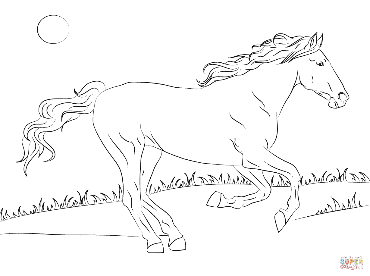 Horse Coloring Pages Hard - Coloring Home