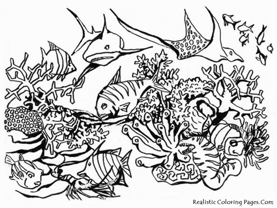 Ocean Scene Coloring Pages | Coloring Pages
