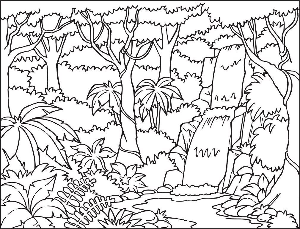 Forest - Coloring Pages for Kids and for Adults