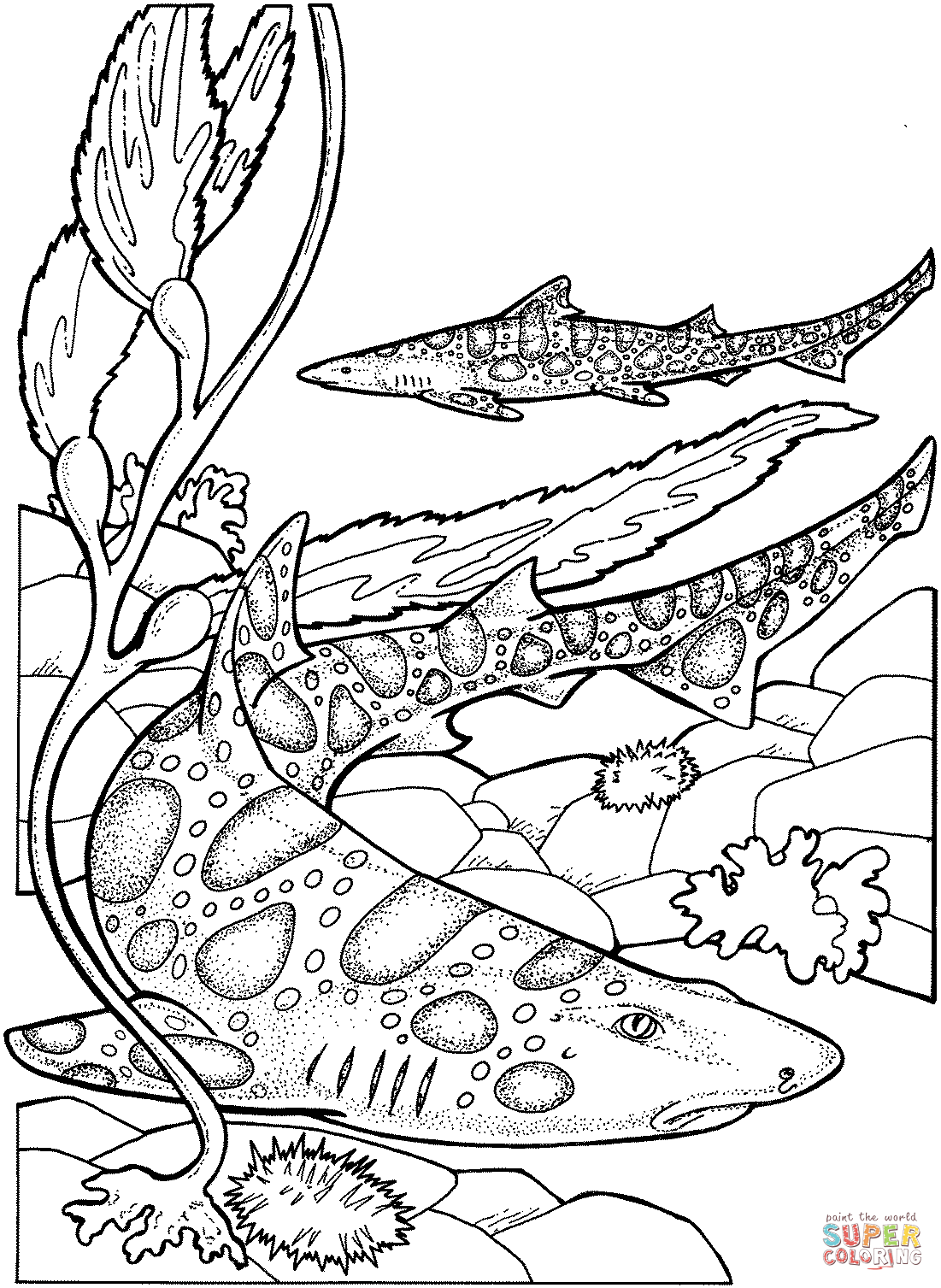 Leopard Sharks coloring page | Free Printable Coloring Pages