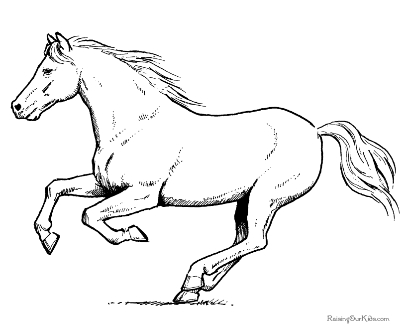 Search Results » Horses Printable Coloring Pages